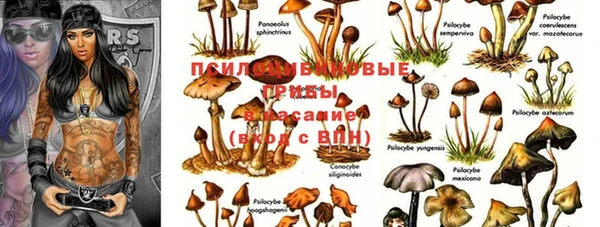 хмурый Володарск