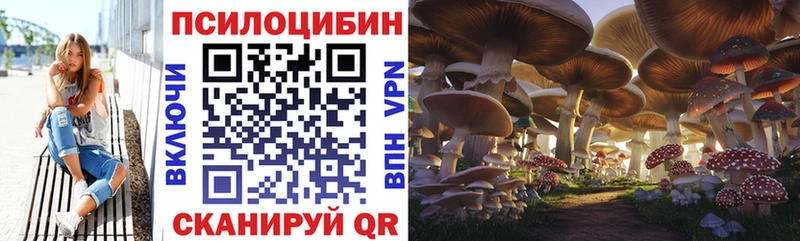 Галлюциногенные грибы прущие грибы  Каргат 